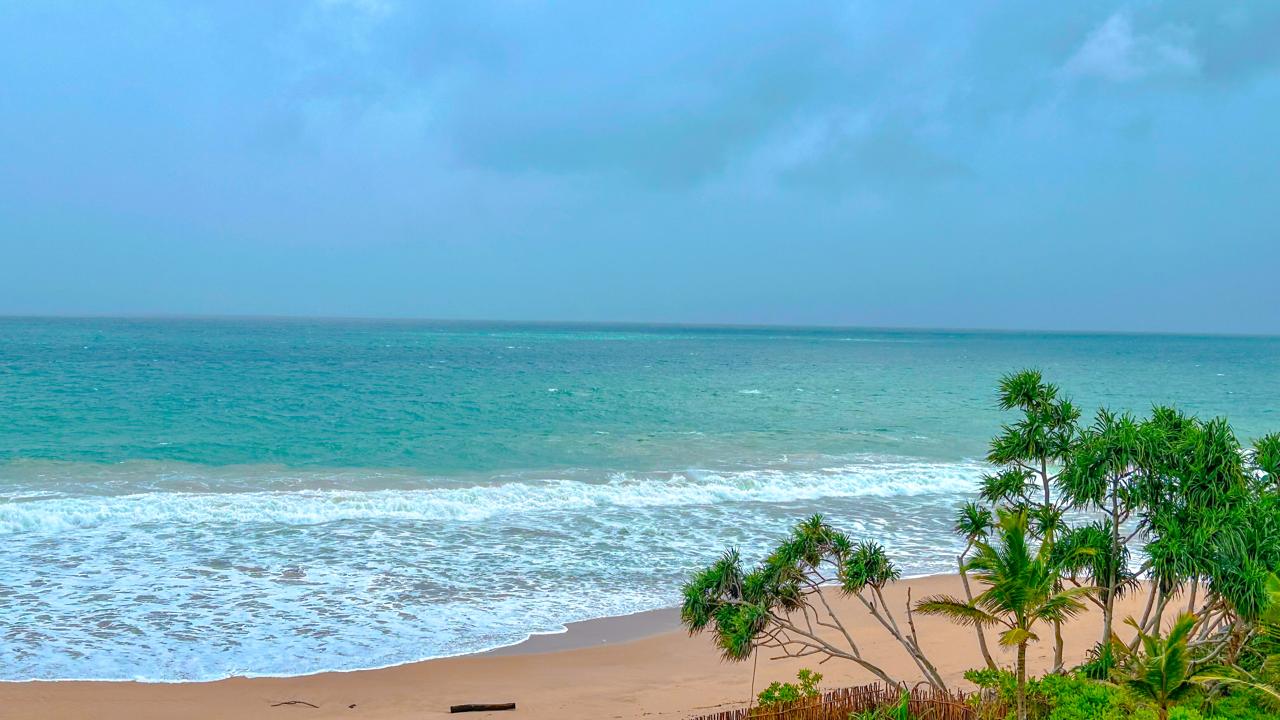 Beach View